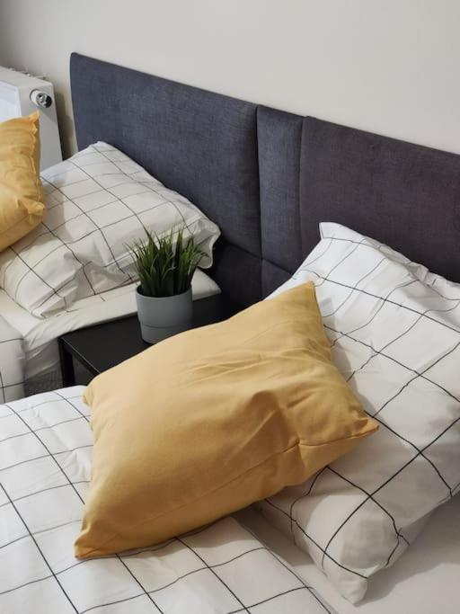 Piekny Apartament 3-Pokojowy Katoviçe Dış mekan fotoğraf