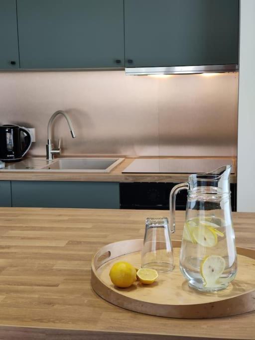 Piekny Apartament 3-Pokojowy Katoviçe Dış mekan fotoğraf